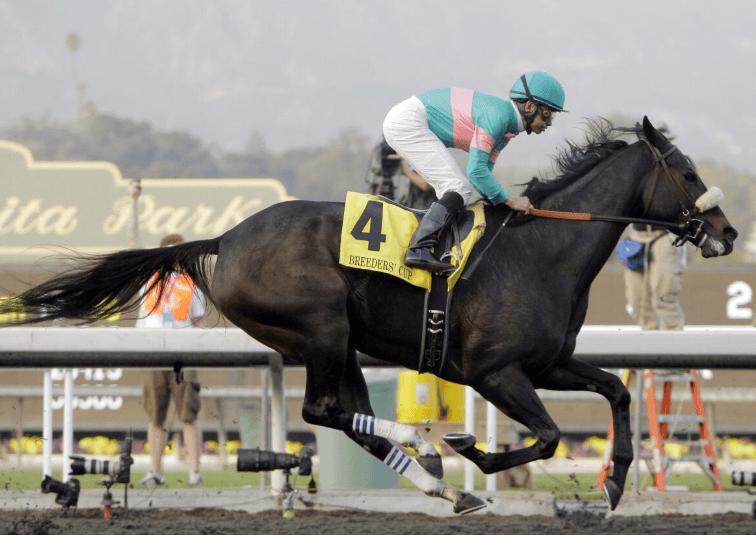 Zenyatta: The Mare Who Defied Odds