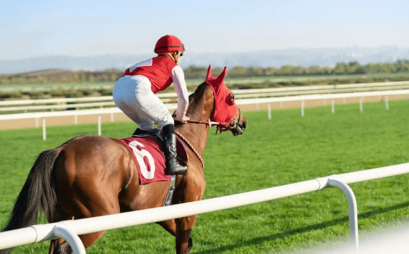 Famous Racehorses Who Became Legends Off the Track