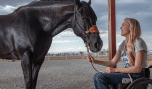 Stories of Horses Who Inspired Movies and Books