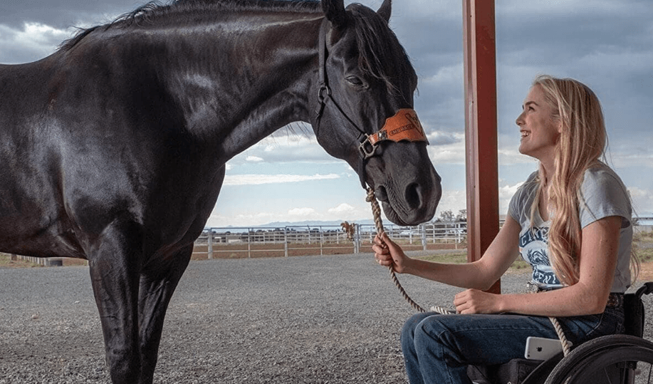 Stories of Horses Who Inspired Movies and Books