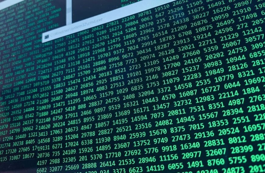 quantum vertex signal registry identifiers